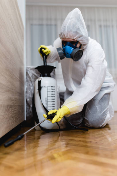 Best Termite Inspection and Treatment  in Michigan City, IN